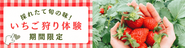 いちご狩りバナー